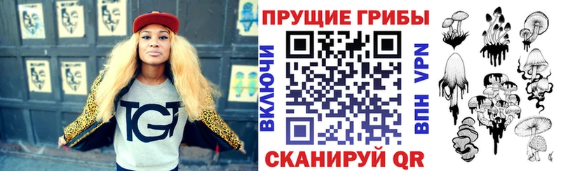omg ссылка  Богородск  Псилоцибиновые грибы мицелий  где продают наркотики 